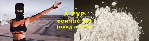 молекула духа Заводоуковск
