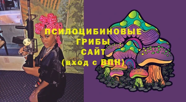стаф Заволжье