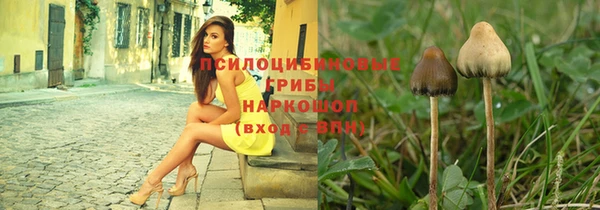 молекула духа Заводоуковск