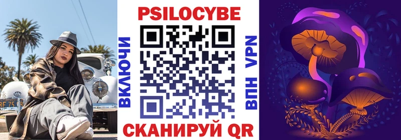 Купить  Иннополис  Галлюциногенные грибы Psilocybine cubensis 